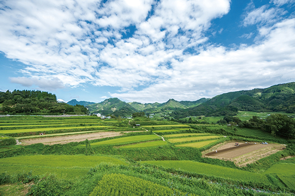 栃又棚田